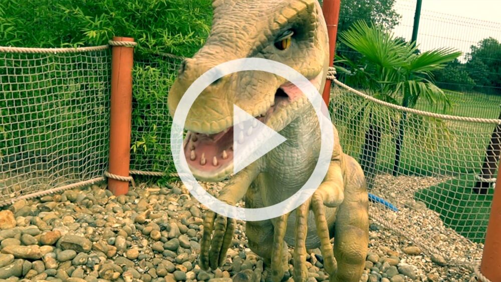 Watch the video for our adventure golf course