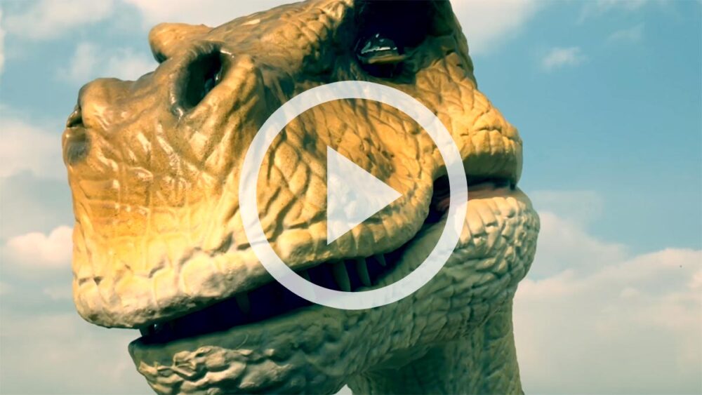Watch the video for our adventure golf course